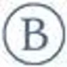 Berkshire Blanket logo