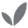 Boody logo