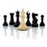 ChessSets logo