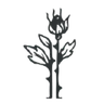 Contessa Mills logo