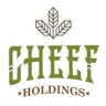 HolistaPet logo