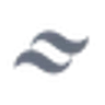 Saalt logo