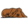 SleepDog logo