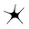 STUDIOCULT (US) logo