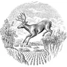Treasury Wine Estates logo