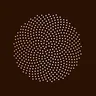 True Botanicals logo