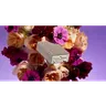 ZEYA logo